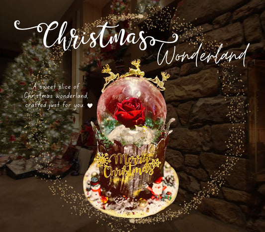 Christmas Cakes in Singapore – Festive Season Special with 50% Off