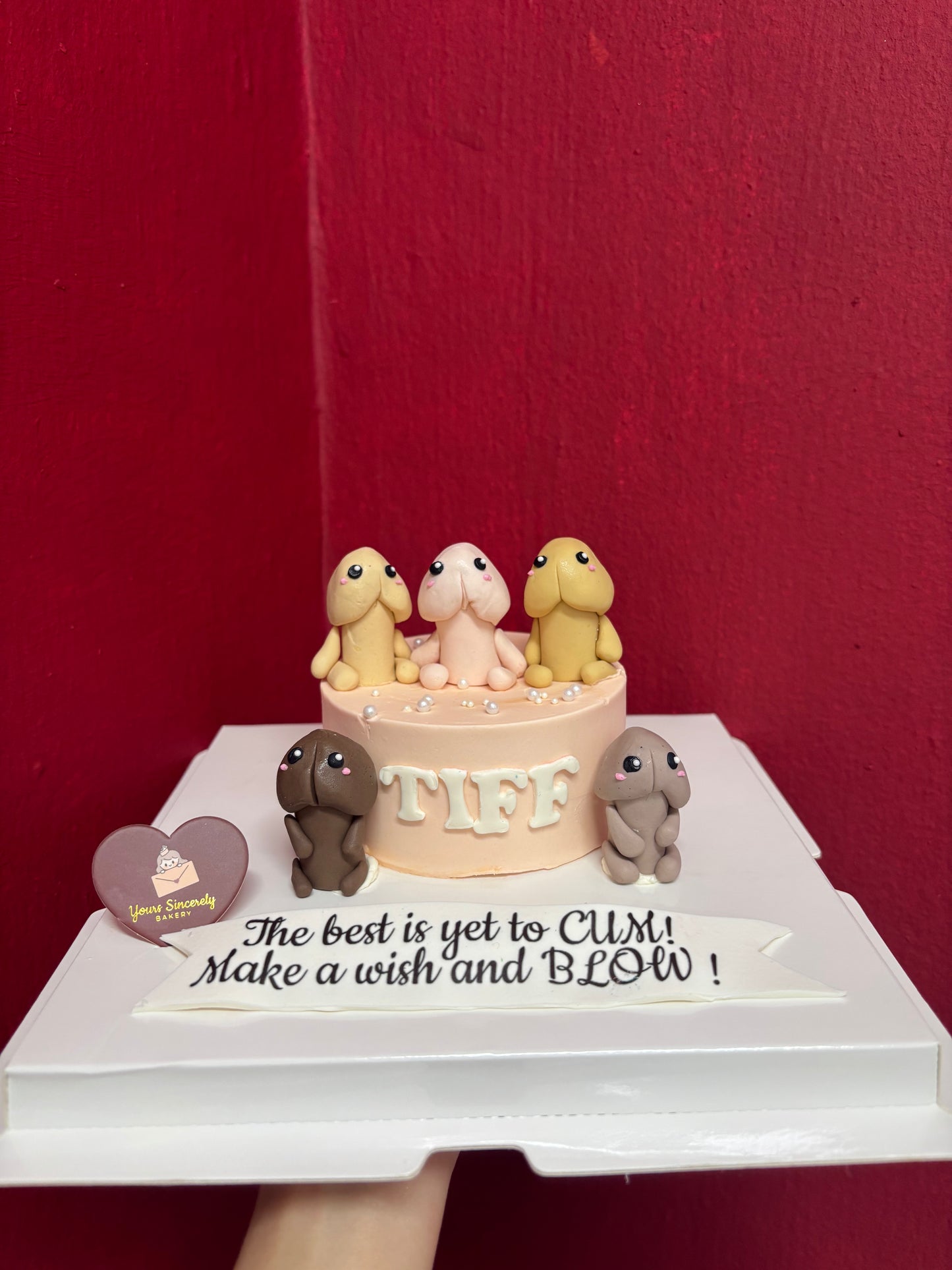 Hens Night Dick Cake